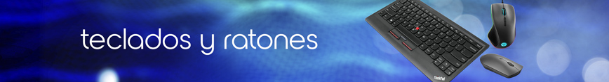 Teclados y ratones Lenovo
